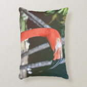 Closeup photography of red long-neck bird アクセントクッション (正面(垂直))