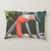 Closeup photography of red long-neck bird アクセントクッション (裏面)