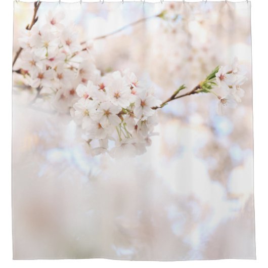 CLOSEUP PHOTOGRAPHY WHITE CHERRY BLOSSOMS シャワーカーテン (正面)