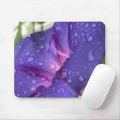 Closeup Purple Dewdrop Morning Glory Close-up マウスパッド (マウス)