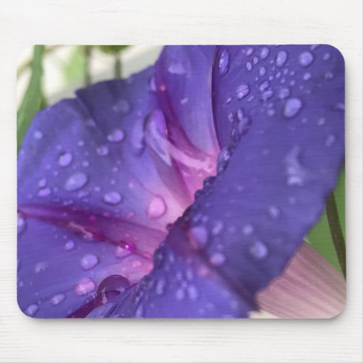 Closeup Purple Dewdrop Morning Glory Close-up マウスパッド (正面)