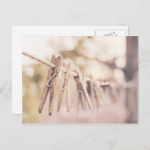 Clothespins on a line ポストカード (正面/裏面)