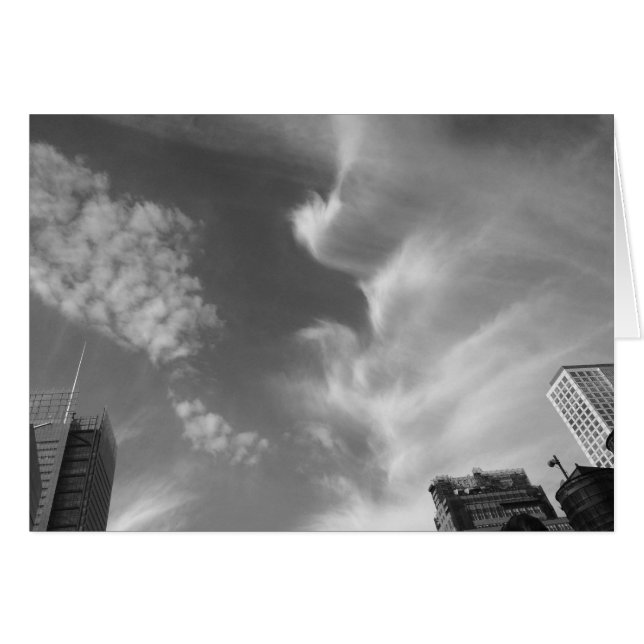 Cloud Bird, New York City, USA, noir，カード (正面横)