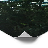 Cloud Forest Glass Dome Interior ポスター (角)