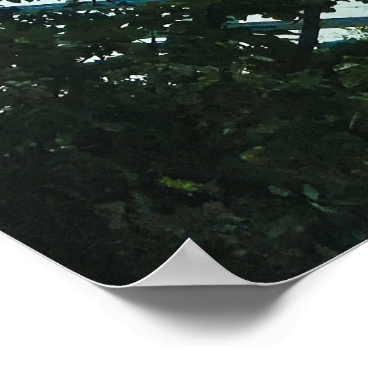 Cloud Forest Glass Dome Interior ポスター (角)