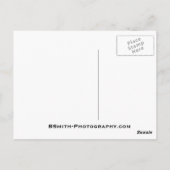 Cloudland秋 ポストカード (裏面)