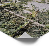 Clouds Over Mount Rainier Scenic Landscape ポスター (角)