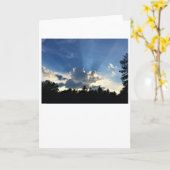 Cloudscape、カード カード (黄色い花)