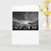 Cloudscape / Noir，カード カード (黄色い花)