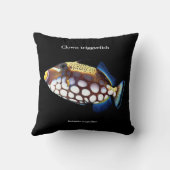 Clown triggerfish , Balistoides conspicillum クッション (裏面)