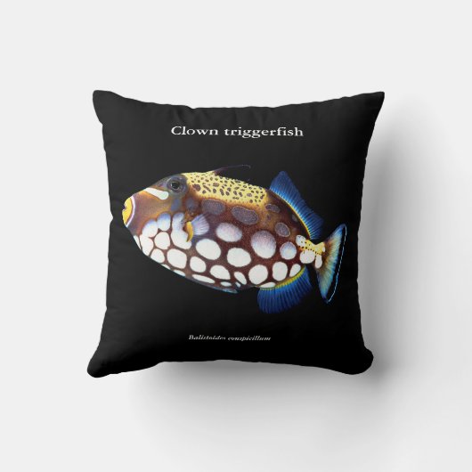 Clown triggerfish , Balistoides conspicillum クッション (裏面)