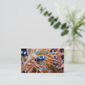 Clownfishの熱帯海底アネモネ 名刺 (スタンド正面)