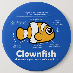Clownfishの統計量 缶バッジ