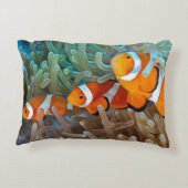 Clownfish アクセントクッション (裏面)