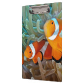 Clownfish クリップボード (左)