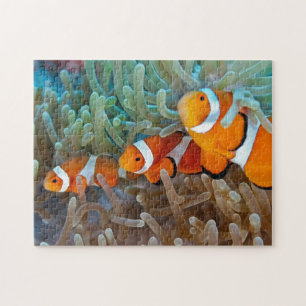 Clownfish ジグソーパズル