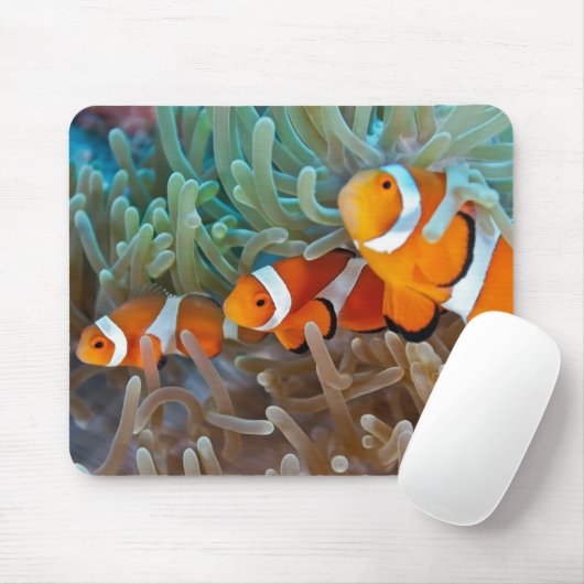 Clownfish マウスパッド (マウス)