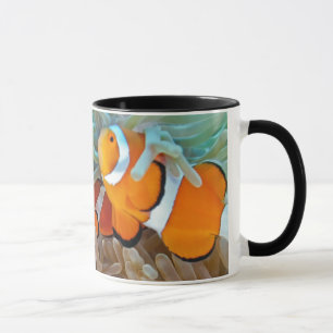 Clownfish マグカップ