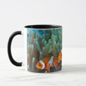 Clownfish マグカップ (左)