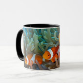 Clownfish マグカップ (正面左)
