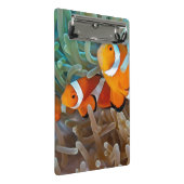 Clownfish ミニクリップボード (アングル)