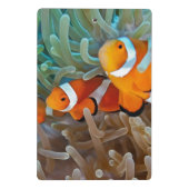 Clownfish ミニクリップボード (裏面)