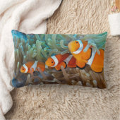Clownfish ランバークッション (ブランケット)