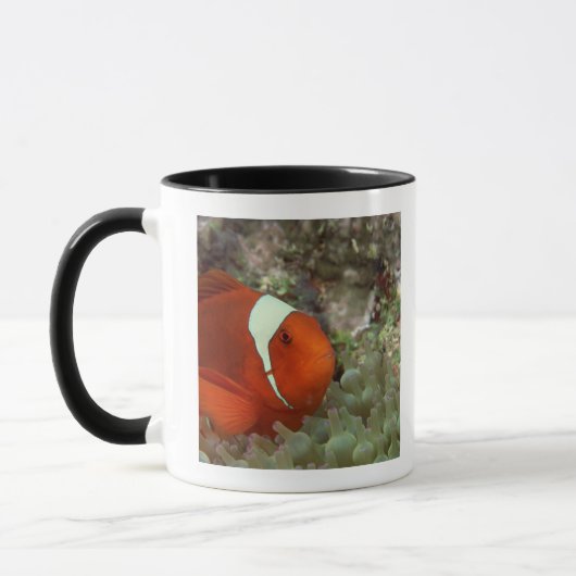 Clownfish 2 マグカップ (左)