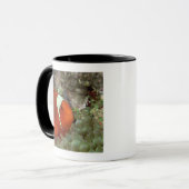 Clownfish 2 マグカップ (正面左)