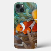 Clownfish Case-Mate iPhoneケース (裏面)