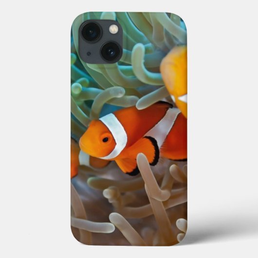 Clownfish Case-Mate iPhoneケース (裏面)