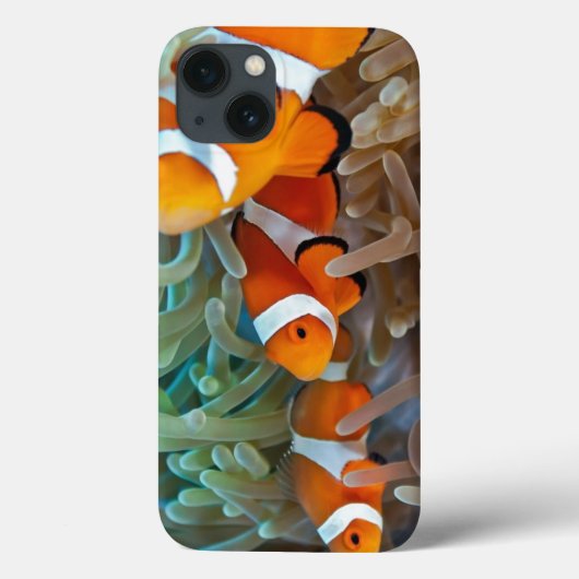 Clownfish Case-Mate iPhoneケース (裏面)