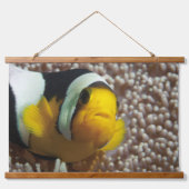 Clownfish - Close-Up! So cute - Nemo in Anemone |  吊り下げ型タペストリー (正面)