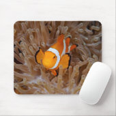 Clownfish - Molokai, North Shore Cliff マウスパッド (マウス)