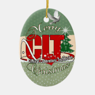 CLTクリスマス臨床検査技師 セラミックオーナメント