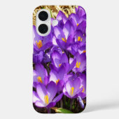 Cluster of Purple Crocuses Spring Floral Case-Mate iPhoneケース (裏面)