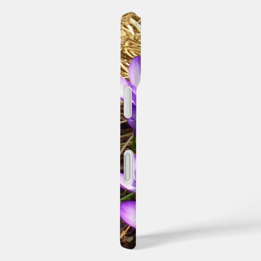 Cluster of Purple Crocuses Spring Floral Case-Mate iPhoneケース (裏面 / 右)