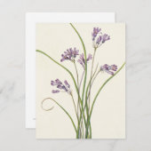 Clusterlily by Mary Vaux Walcott ノートカード (正面/裏面)