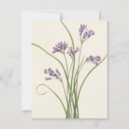 Clusterlily by Mary Vaux Walcott ノートカード