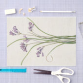 Clusterlily by Mary Vaux Walcott 薄葉紙 (クラフト)