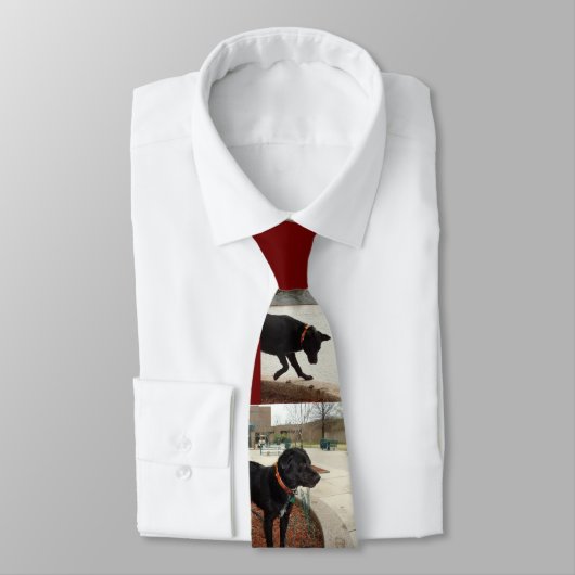 ClydeIIの遊ぶこと ネクタイ (タイ)