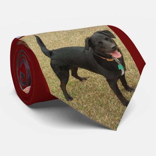 ClydeIIの遊ぶこと ネクタイ (ロール)