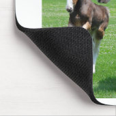 Clydesdaleおよび雌の子馬 マウスパッド (コーナー)