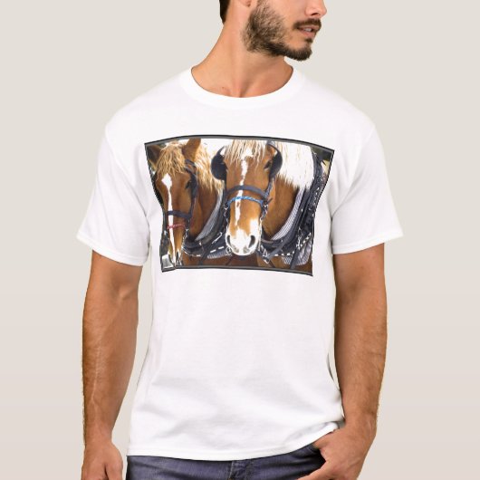 Clydesdaleのばん馬のTシャツ Tシャツ (正面)