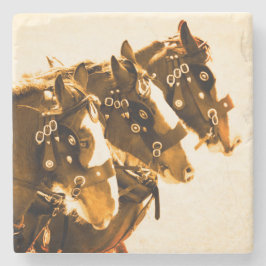 Clydesdaleのクラシックな大理石 ストーンコースター