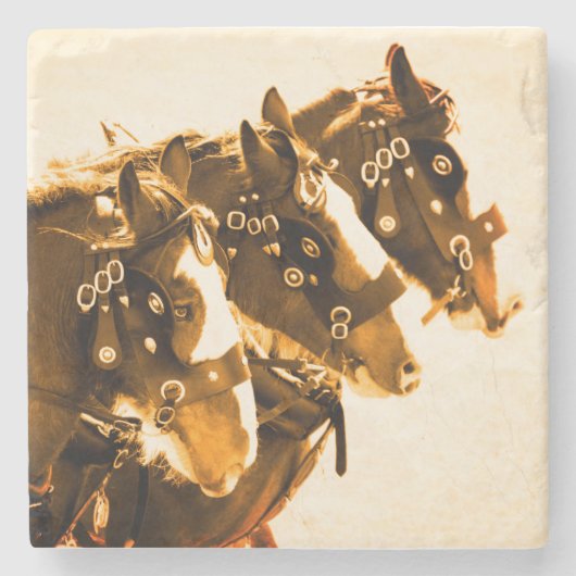 Clydesdaleのクラシックな大理石 ストーンコースター (正面)