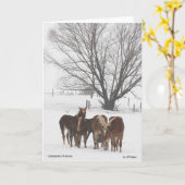 Clydesdaleのクリスマス カード (黄色い花)