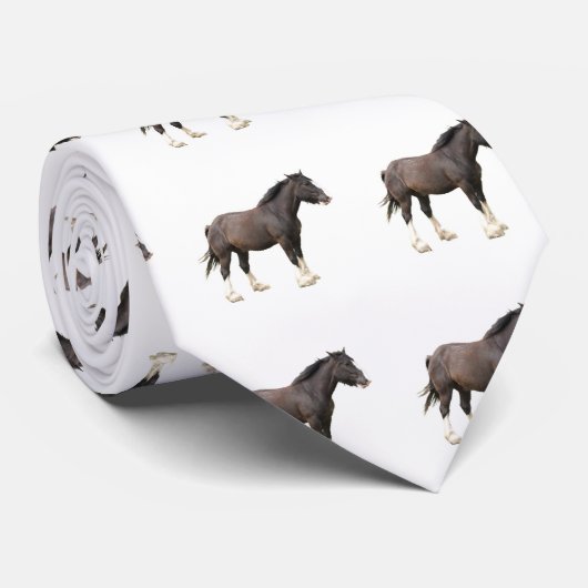 Clydesdaleのタイ ネクタイ (ロール)