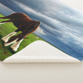 Clydesdaleの嵐 シェルパブランケット (3/4)