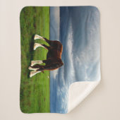 Clydesdaleの嵐 シェルパブランケット (正面)